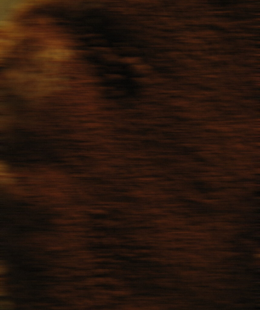 Cacao