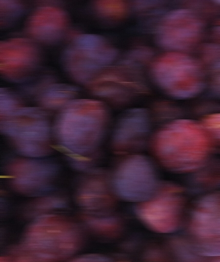 Dark Plum