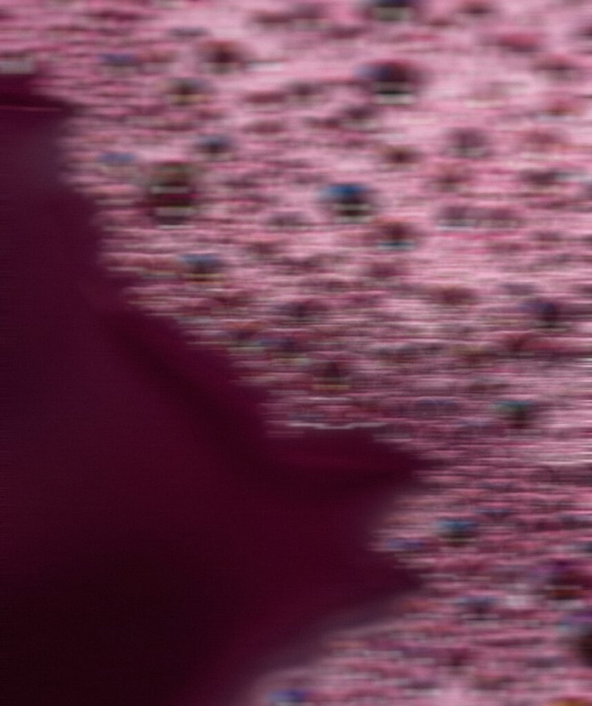 Grape Soda