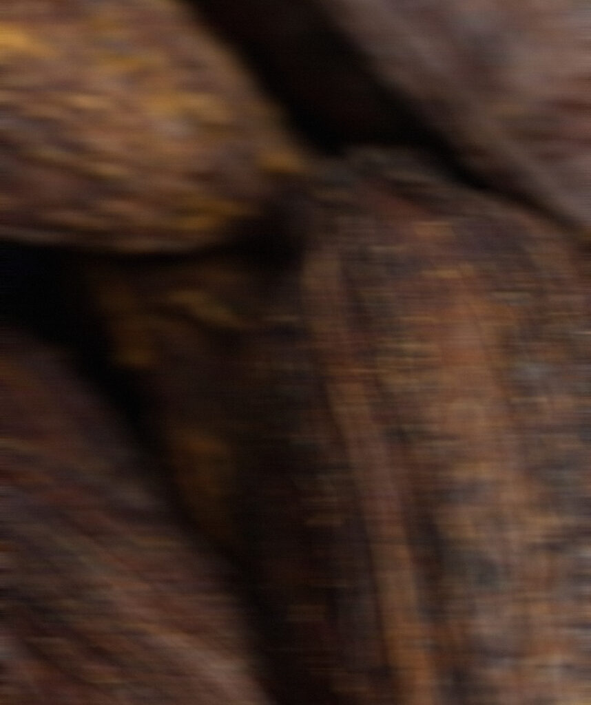 Cacao Nibs