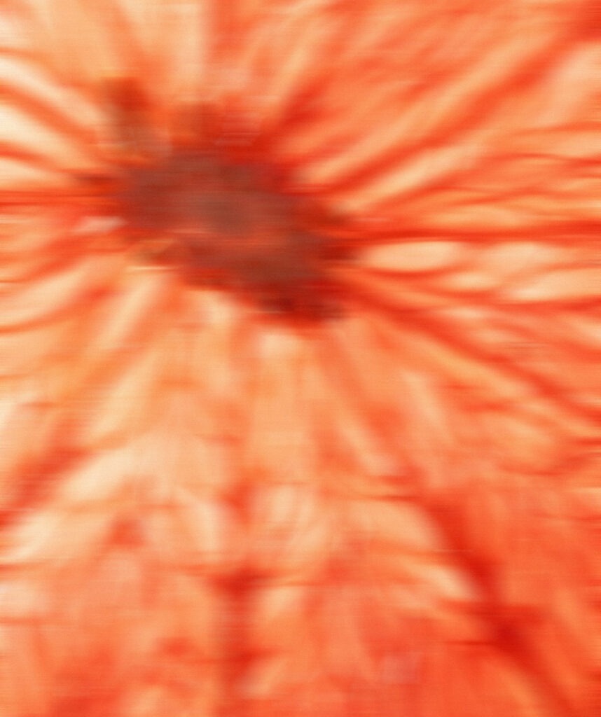 Blood Orange