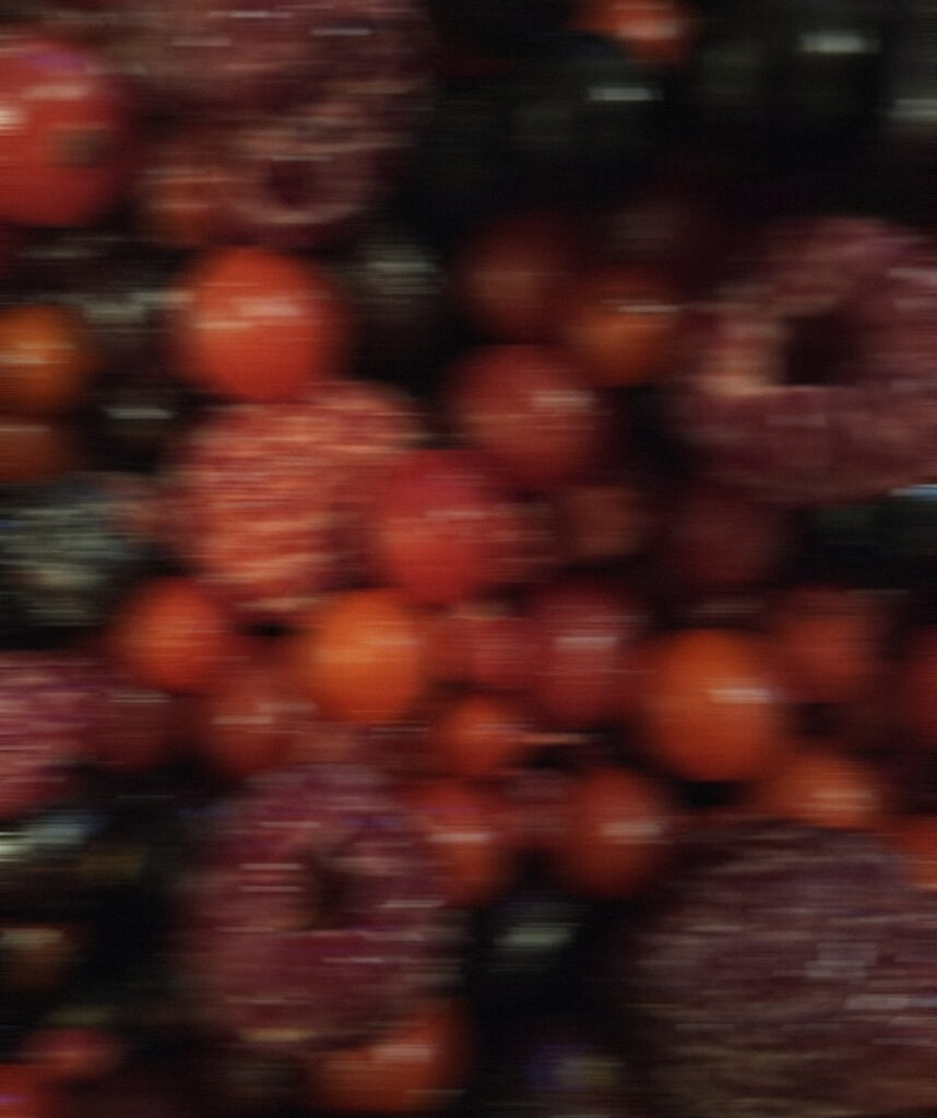 Forest Fruits